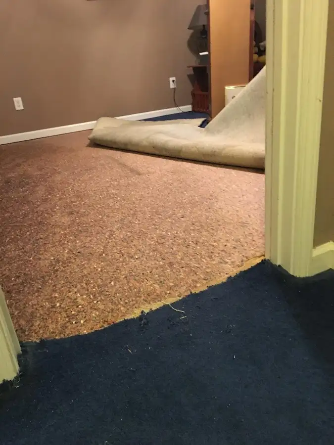 Carpet pad removal revealing water damage during Drying & Dehumidification in Chanhassen